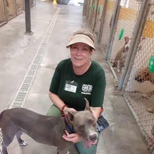 Meet your Posher, Beverly